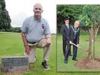 Legion memorial tree is destroyed