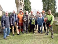 Ancient Newent beech is felled