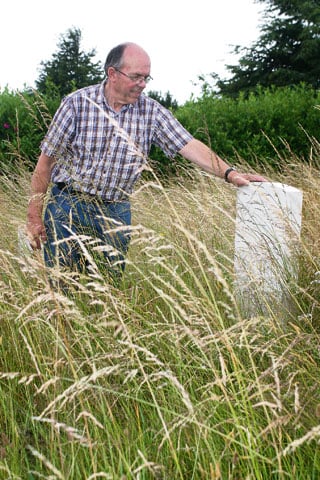 Distress over neglect of war graves