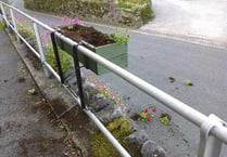 Vandals target newly-planted flower troughs