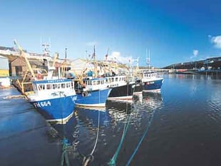 Modern facilities to improve business for local fishermen