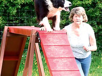 Agility show