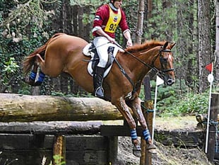 British representative