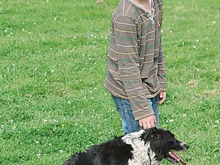 Age no object for Delabole's Matthew