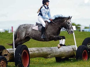 Jumping festival a success with members
