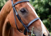 Top point to point awards for Robin De Souza