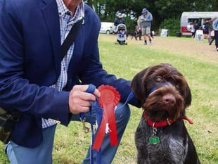 Dog show brings the fun factor!