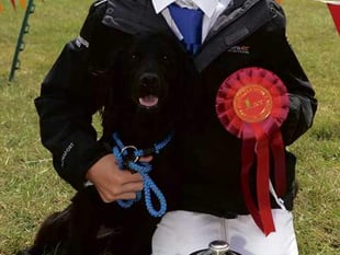 Showers didn't deter entries to this year's dog show!