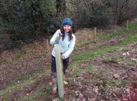 Appeal for landowners to join tree planting scheme