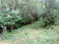 Conservation management at Roadford Lake