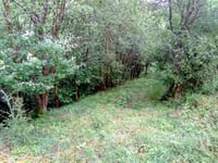 Conservation management at Roadford Lake