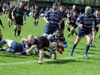 Rugby review for 2019