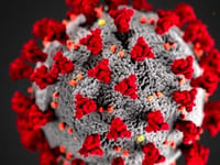 Three more Coronavirus deaths recorded in Cornwall
