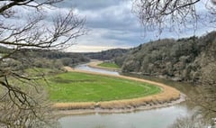 Residents to vote on housing in Calstock