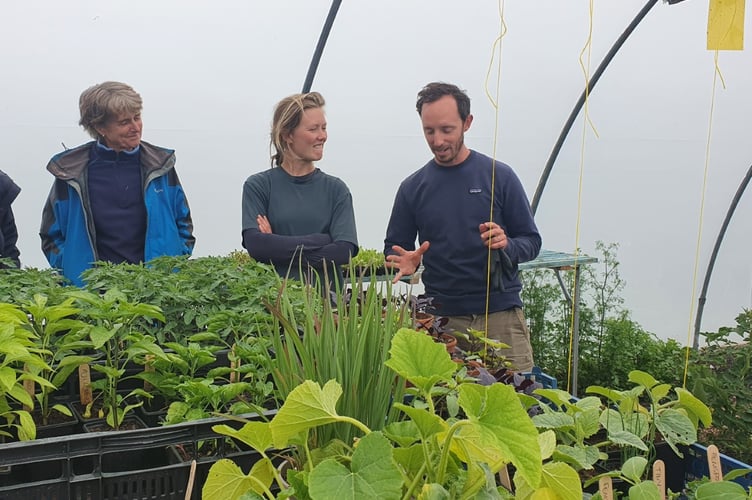 Business is growing at Neetfield Market Garden. Picture: Philippa Simmonds