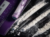 Woman guilty of helping ex policeman run cocaine dealing plot