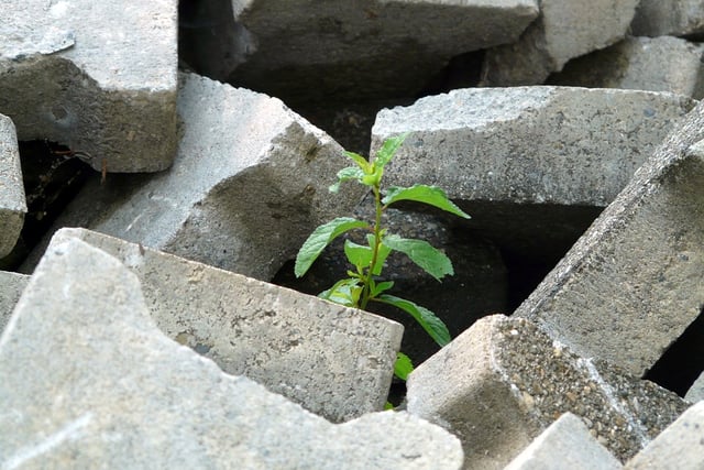 Concrete plant to relocate, but residents of new site area aren’t happy about it
