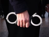 Hi tech shoplifting gang looted £50,000 in expensive spirits