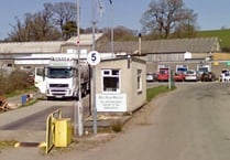 Abattoir fined after security guard seriously injures