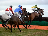 Point to point heads to Devon over bank holiday weekend 