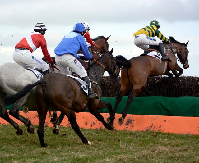 Point to point heads to Devon over bank holiday weekend 