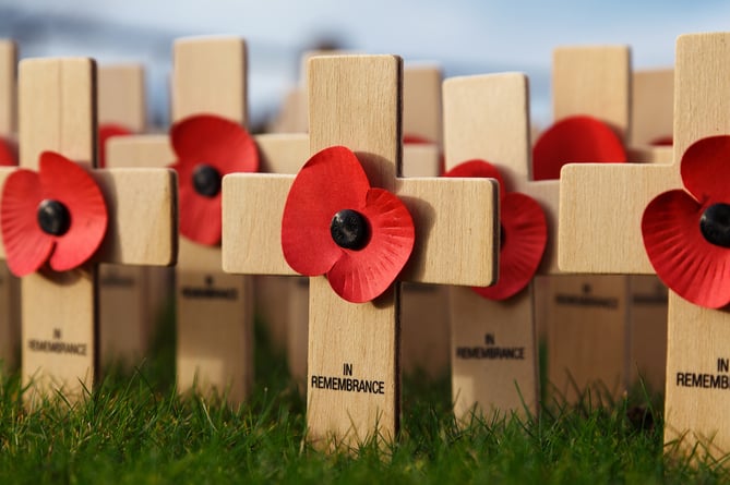 Field of wooden crosses decorated with poppies for Remembrance Sunday