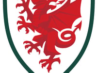 Page hails impact of Moore in Welsh draw