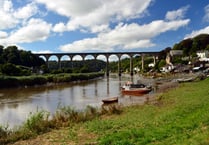 Public to call for clean water in the River Tamar this weekend