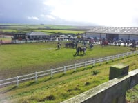 Point-to-point preview ahead of this weekends event