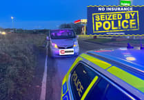 Police pull over delivery van driver without insurance and expired visa