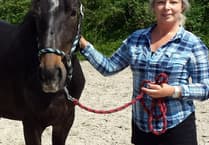 Competition to support Holsworthy's Mare and Foal Sanctuary