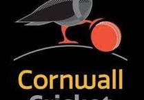 Gribble recalled to Cornwall squad for NCCA T20 double-header