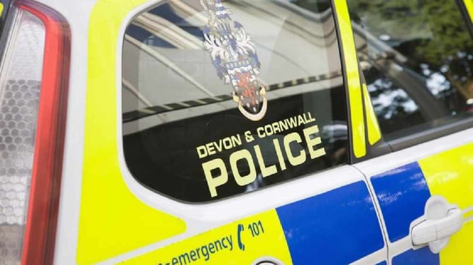 Police, Devon and Cornwall Police Generic.jpg