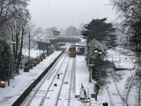 Met Office says 'snow go' for a white Christmas