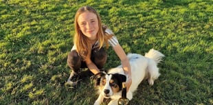 Maisie and Denis to compete at Crufts