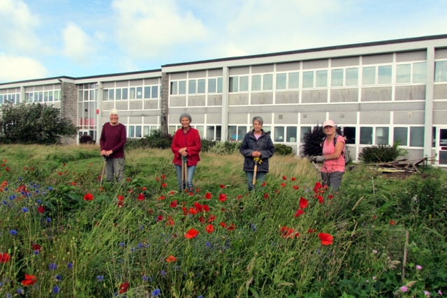 Upcoming green events in Camelford