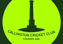 Cornwall all-rounder Ellis joins Callington