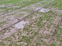 Rain ruins Wednesday fixtures
