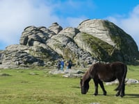 Dartmoor National Park Authority to appeal wild camping ban