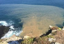 Torridge and North Cornwall areas among 20 worst areas for sewage 