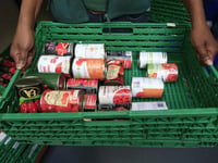 Council to identify food network need