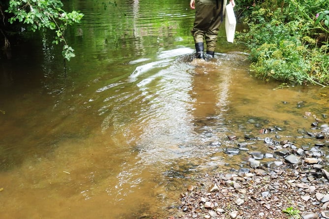 The River Creedy in Crediton was one location where harmful chemicals from SWW damaged the environment.