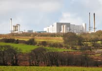 Cornish dairy halts milk collection over abuse allegations