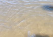 Huge barrel jellyfish wash up on Bude beaches 
