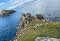 VIDEO: Humpback whale spotted near Polzeath 