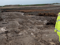A30 biodiversity scheme progresses