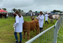 Launceston Agricultural Show - the latest pictures and updates 