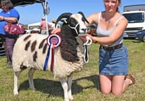 Camelford Agricultural Show prepares for return after two year hiatus
