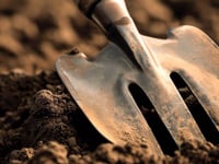 Residents invited to experience new gardening club