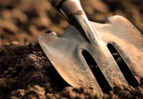 Residents invited to experience 'nature's prescription' at new gardening club